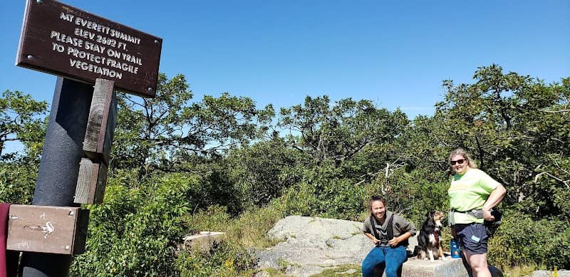 Mount Everett State Reservation - Image 3