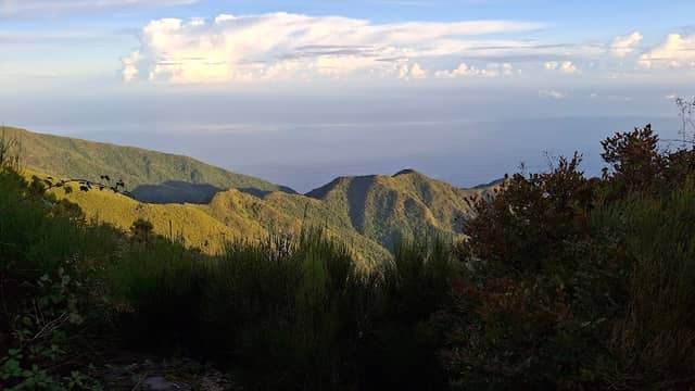 Posto Florestal dos Estanquinhos - Image 1