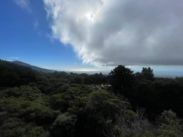 Viewing Platform - Image 1