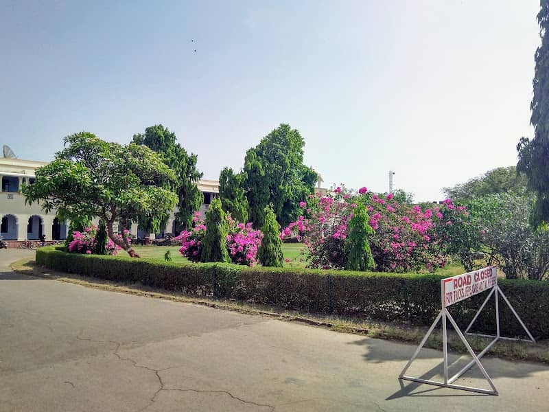 M Lawns - Image 1