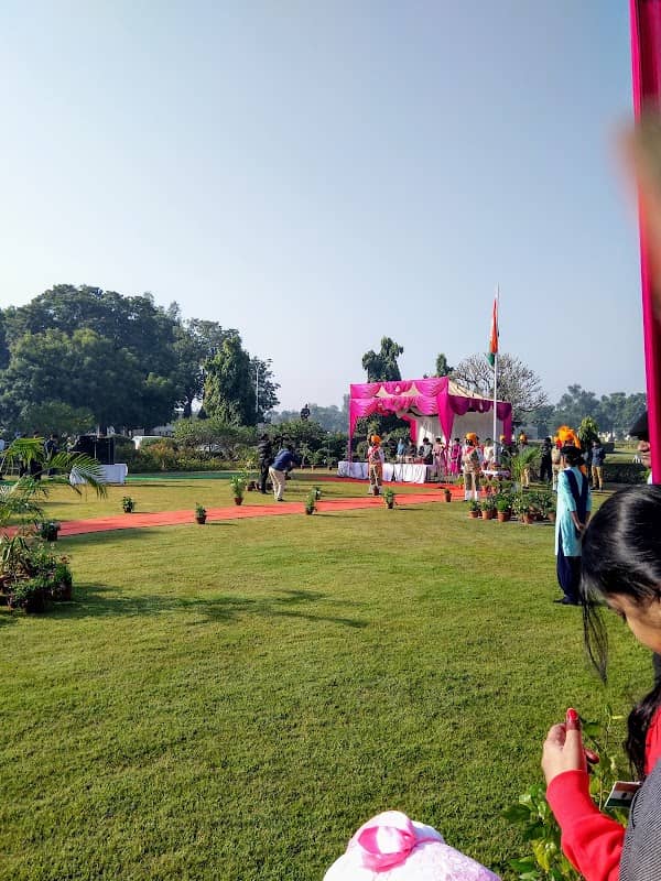 M Lawns - Image 2