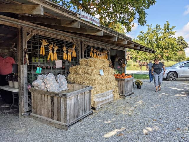 Blessing Acres Farm - Image 1