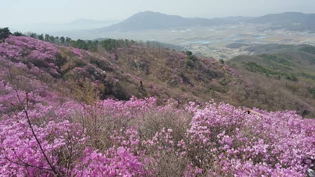 전원미술관 - Image 1