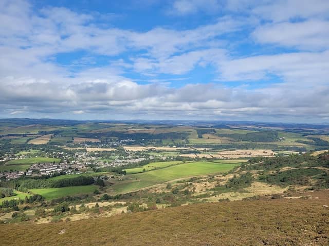 Eildon Mid Hill - Image 1