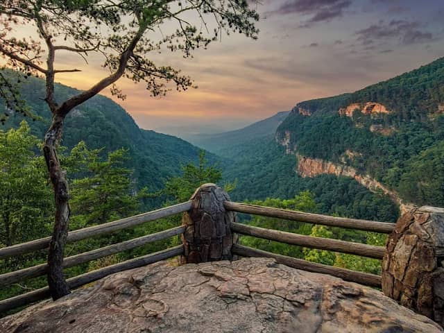 Cloudland Canyon State Park - Image 2