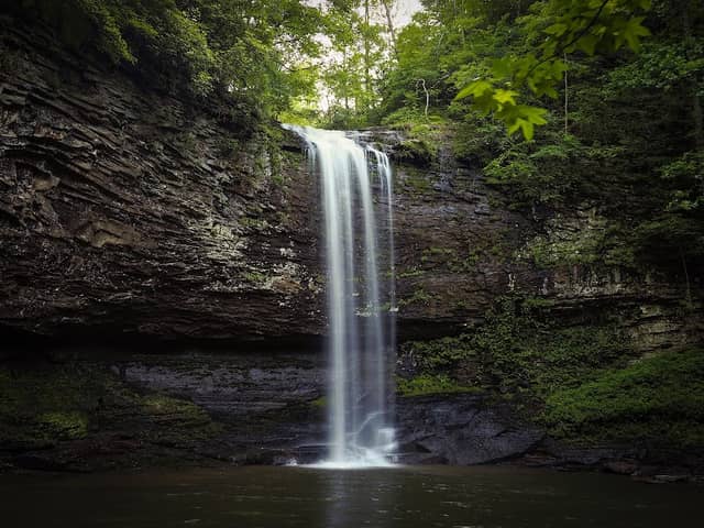 Cloudland Canyon State Park - Image 3
