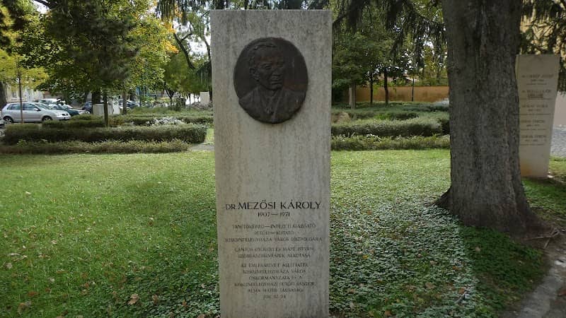 Petőfi Félegyházi kutatói - Image 1