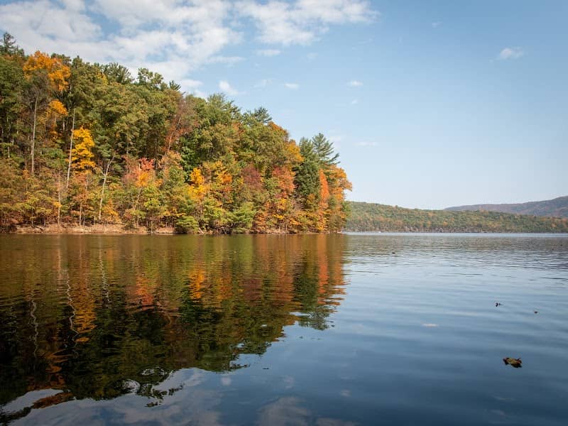 Walkers Hollow - Image 1