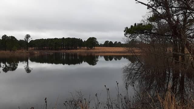 Elk Island - Image 1