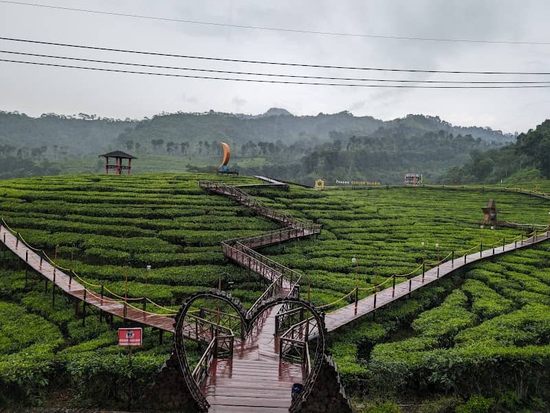 Wisata kebun teh gunung gambir - Image 2