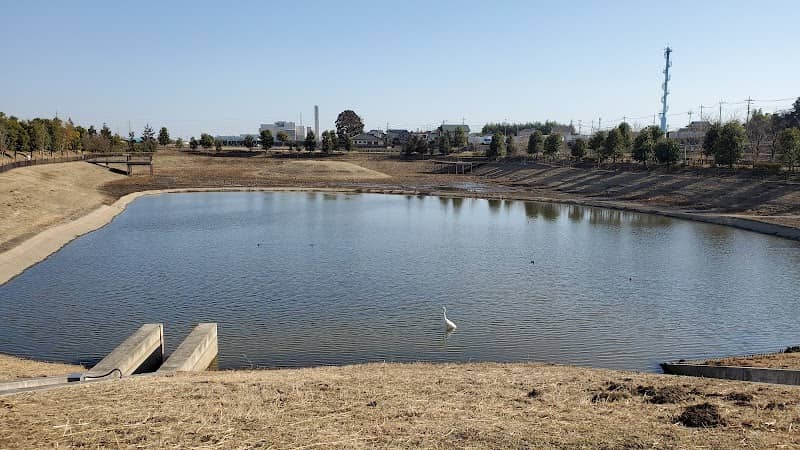 Higashimiyashita Water Park - Image 1