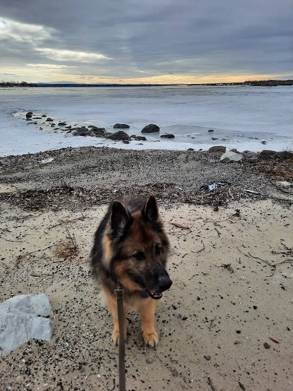 Veterans Park - Image 1