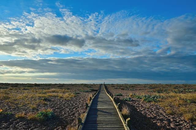 Dungeness National Nature Reserve - Image 1