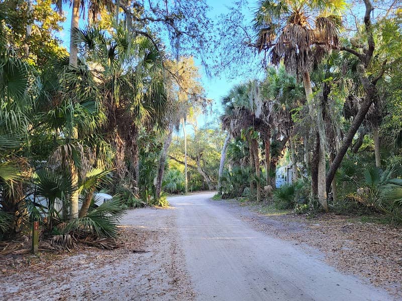 Tomoka State Park - Image 2