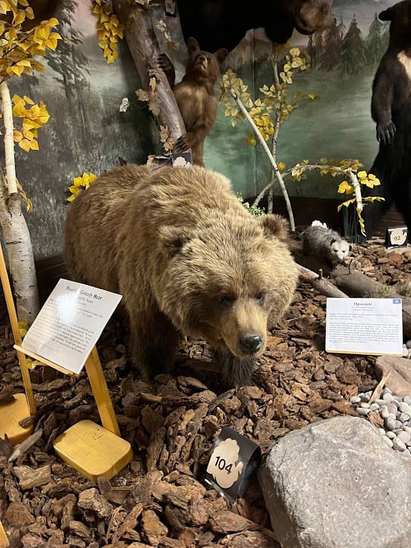 Pierson Wildlife Museum Learning Center - Image 2
