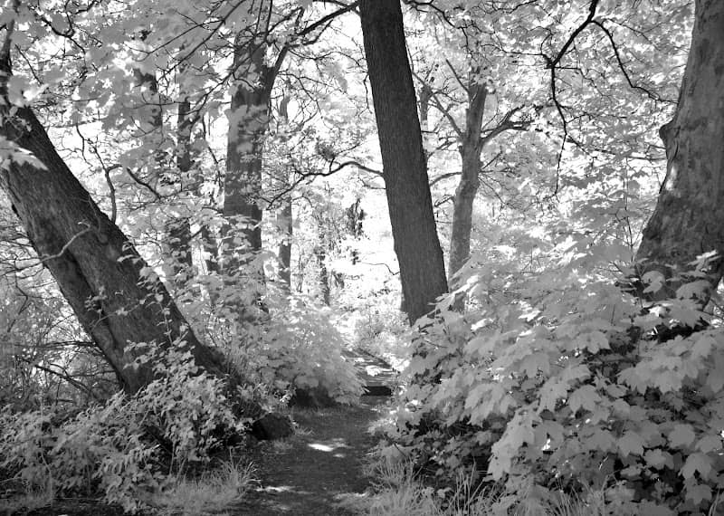 Heysham Moss Nature Reserve - Image 1