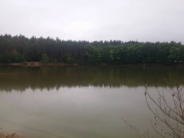 Unnamed Pond near Luznice - Image 1