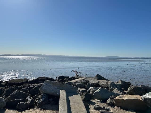 San Lorenzo Bay Trail - Image 1