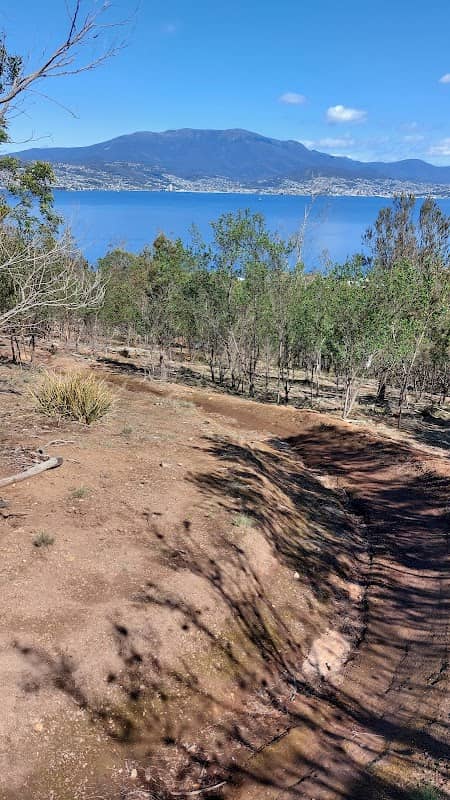 Toorittya Bushland Reserve - Image 2