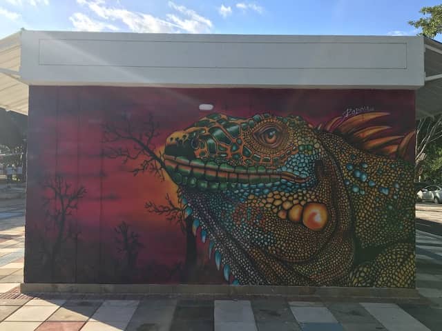 Iguana Vallenata - Image 1