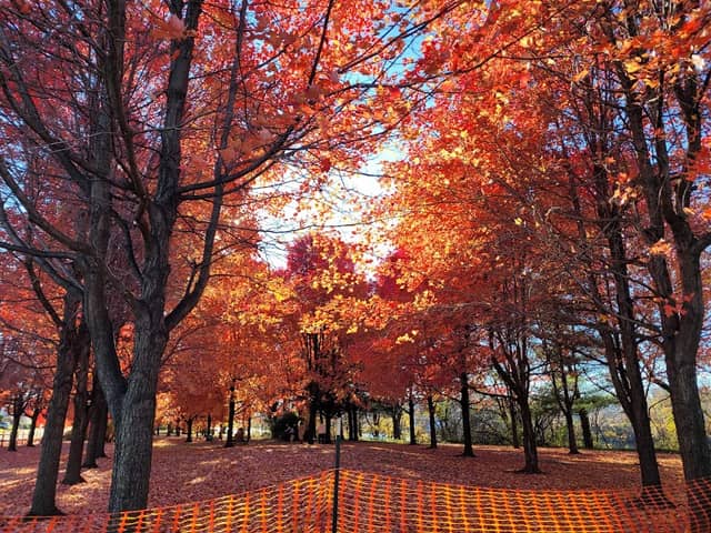 Kearny Riverbank Park - Image 2