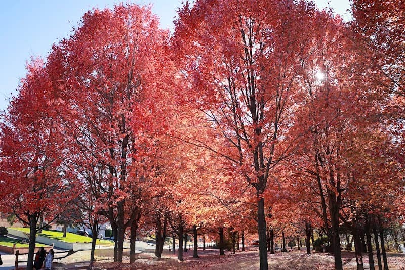 Kearny Riverbank Park - Image 1