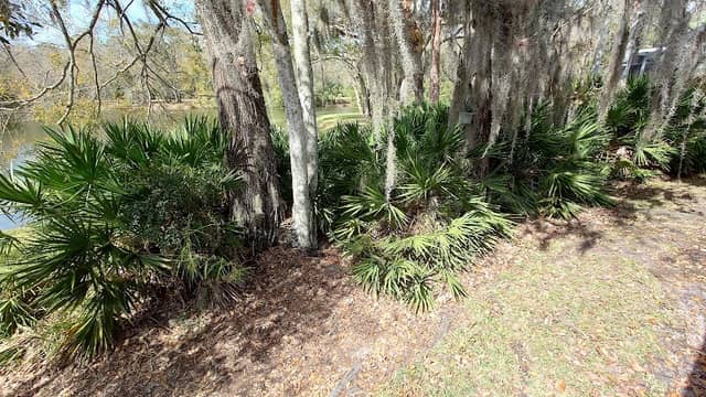 Planters Ridge Park - Image 1