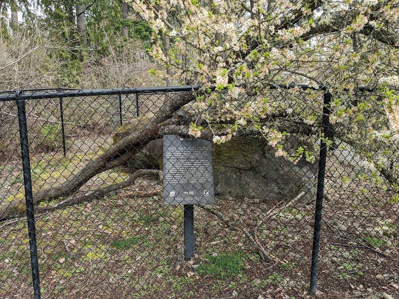 Skystone Park - Image 2