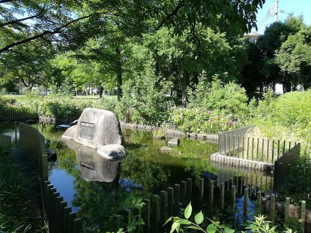 Saraike Park - Image 1