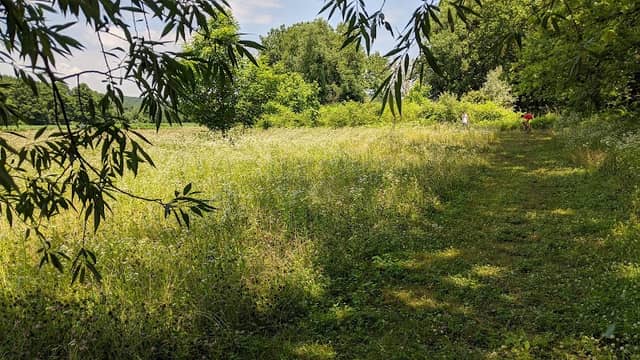 Strong Preserve - Image 1