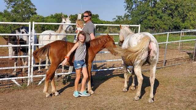 Belton Pony Party Barn - Image 2