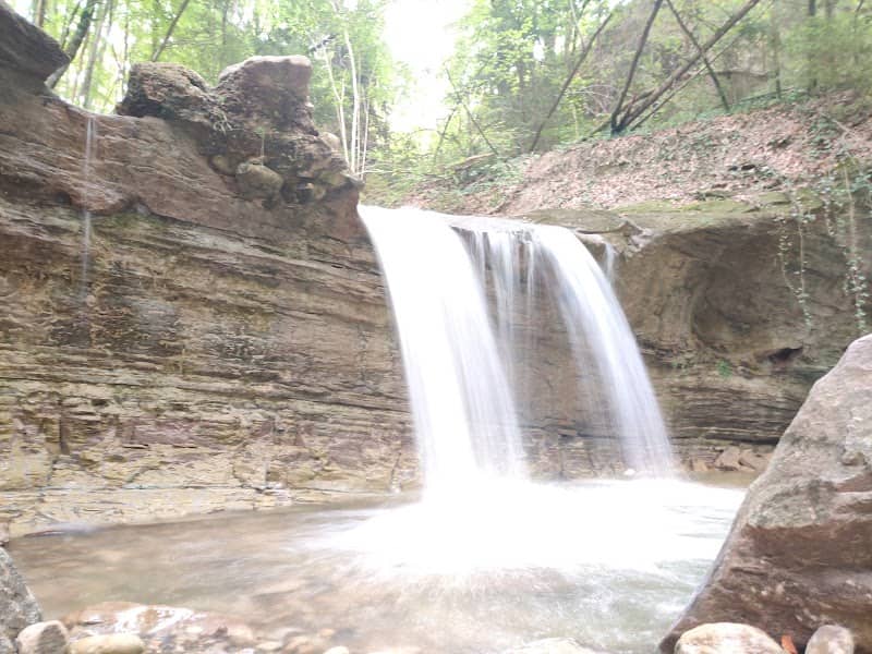 Cascade de Crissier - Image 2