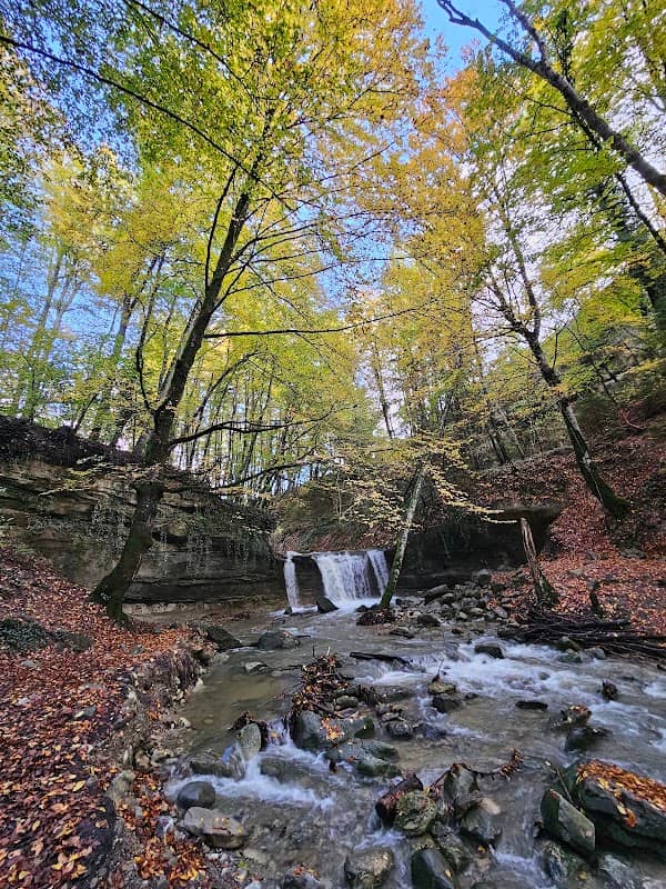 Cascade de Crissier - Image 1