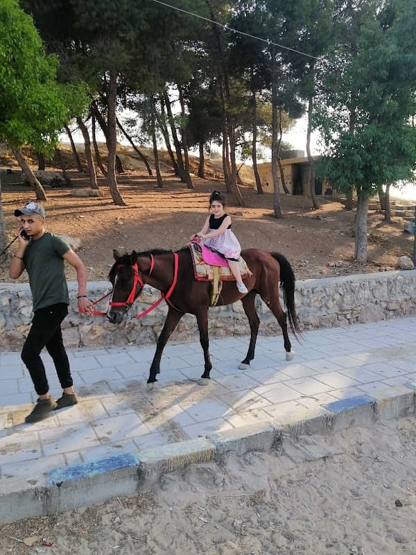 King Hussein Park - Image 2