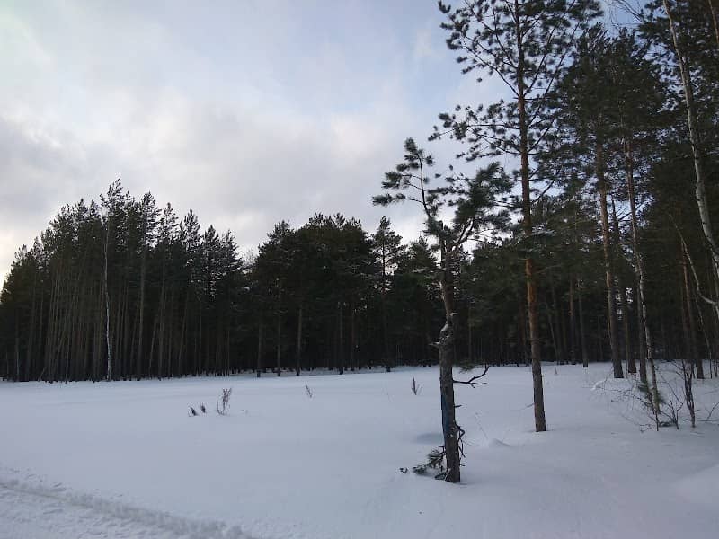Lesnoy Park - Image 1