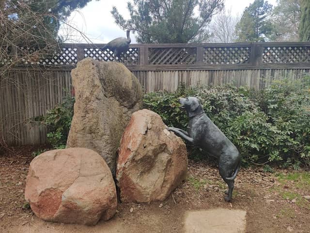 Dog Chasing Turkey statue - Image 1