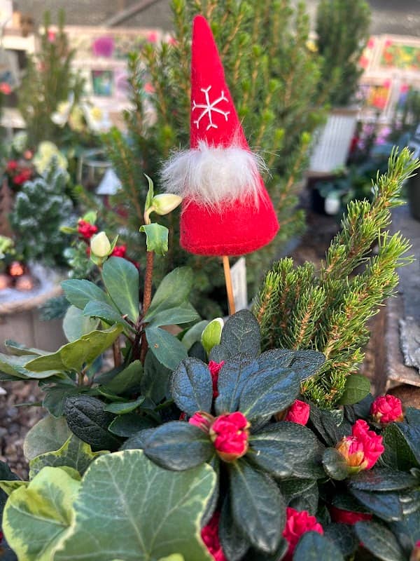 Six acres garden centre - Image 1