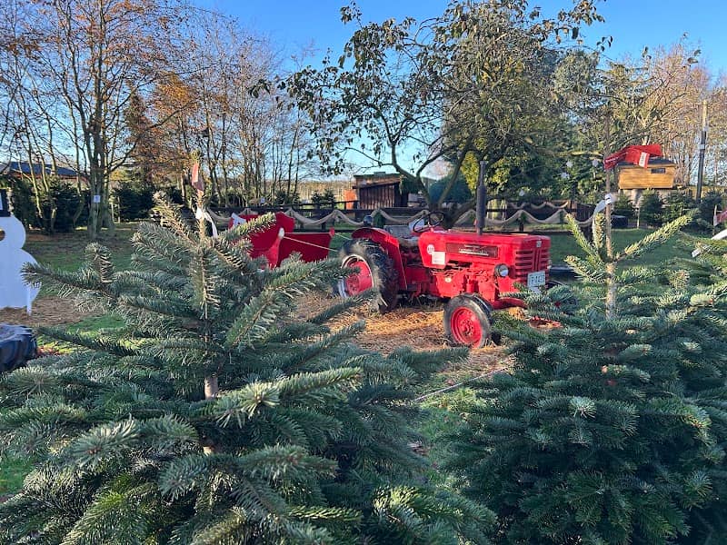 Six acres garden centre - Image 2