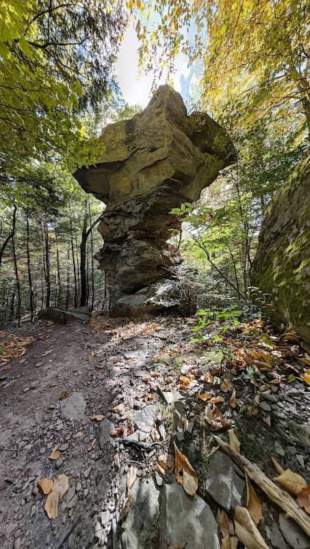Little Creek Park Office - Image 1