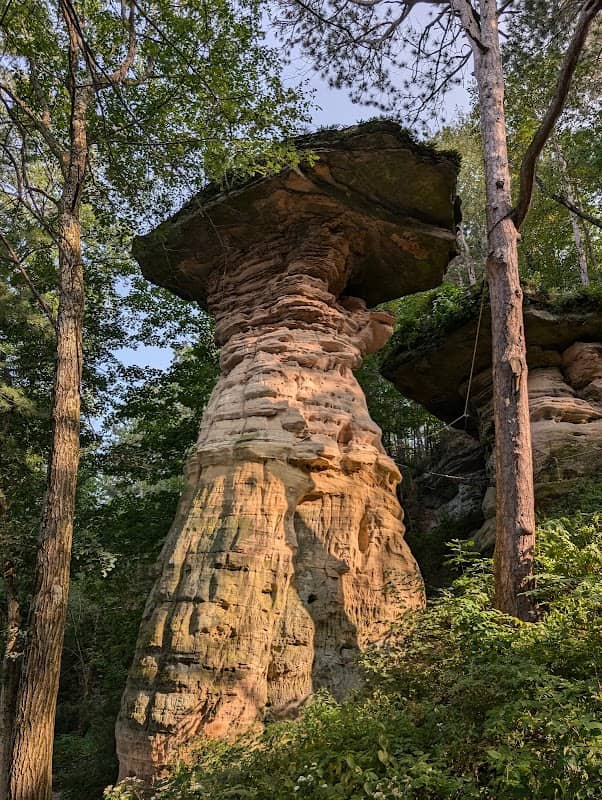 Dells of the Wisconsin River State Natural Area - Image 3