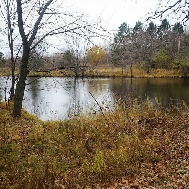 Little Elk Bridge - Image 1