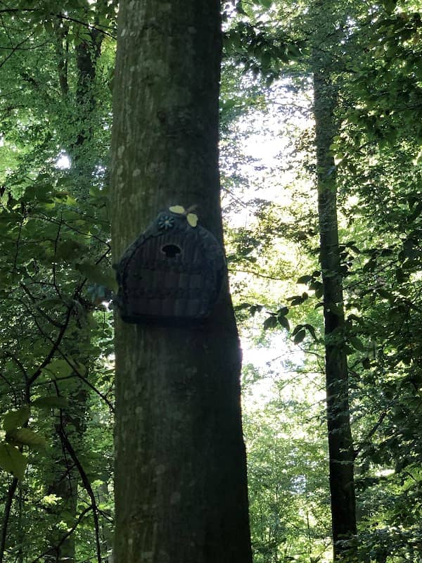 Schaafheimer Wichtelwald - Image 2