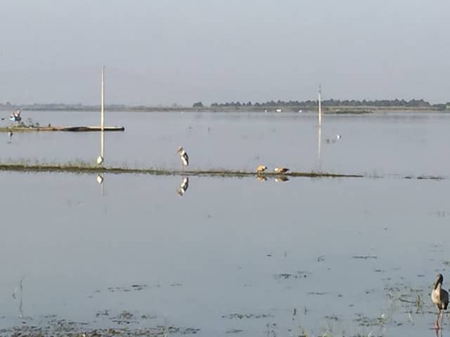 Kalapani lake - Image 2