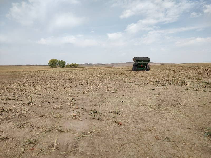 Bolley's Kansas Prairie Farm 2 - Image 2
