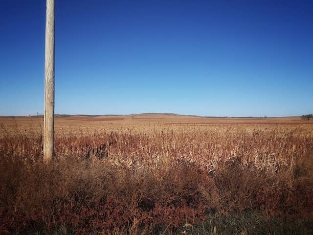 Bolley's Kansas Prairie Farm 2 - Image 3