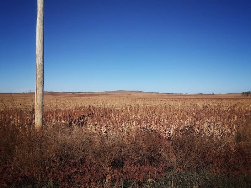 Bolley's Kansas Prairie Farm 2 - Image 3