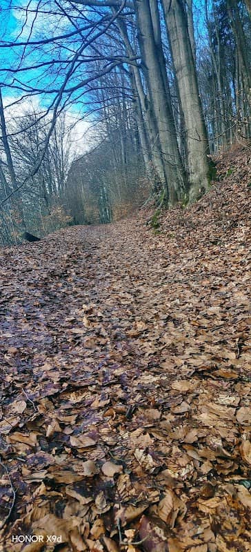 Berg Frankenblick - Image 2
