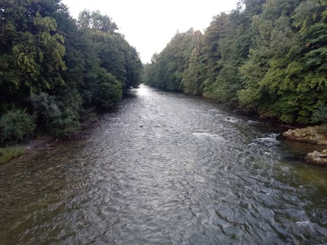 Hängebrücke Heggelbach - Image 1