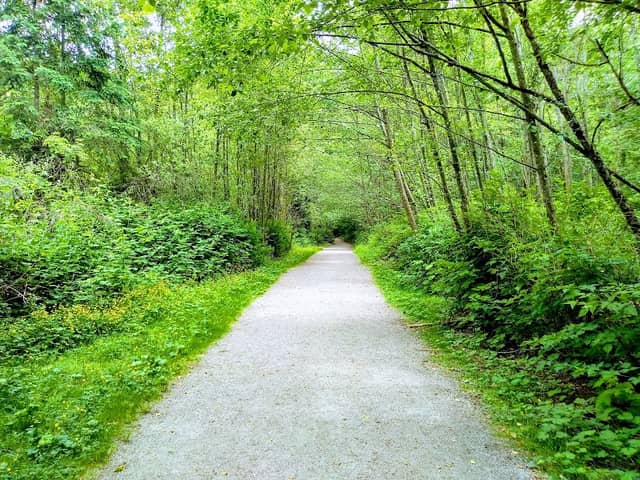 Green Timbers Urban Forest Park - Image 2