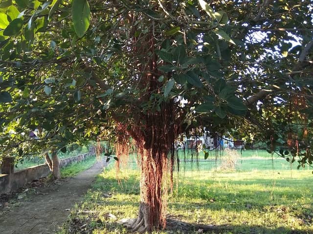 Samyak Park - Image 1
